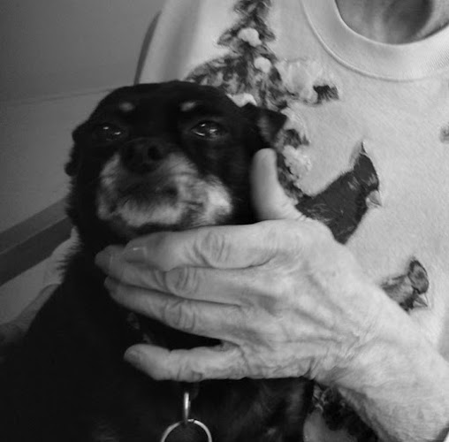 Best Care Corporation