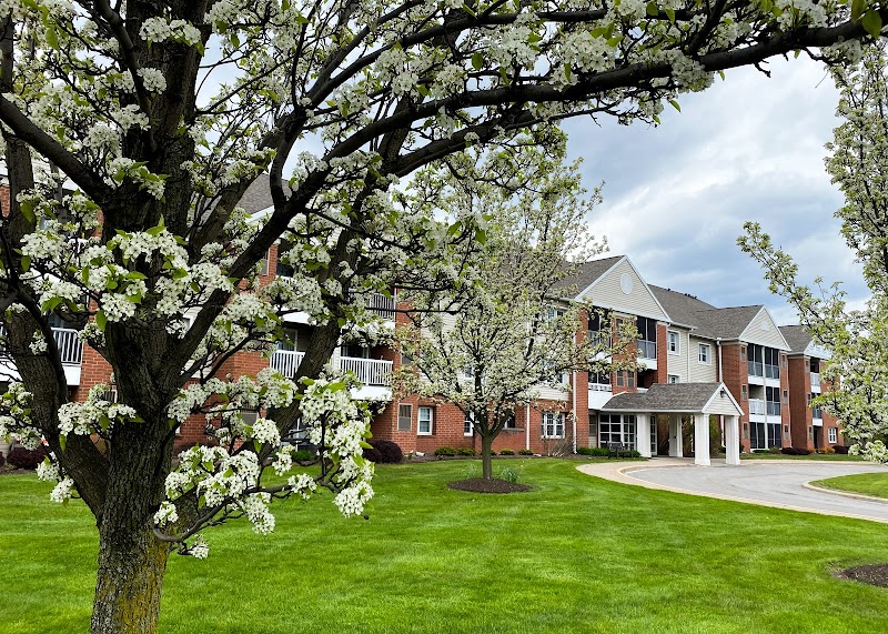 Chapel Oaks