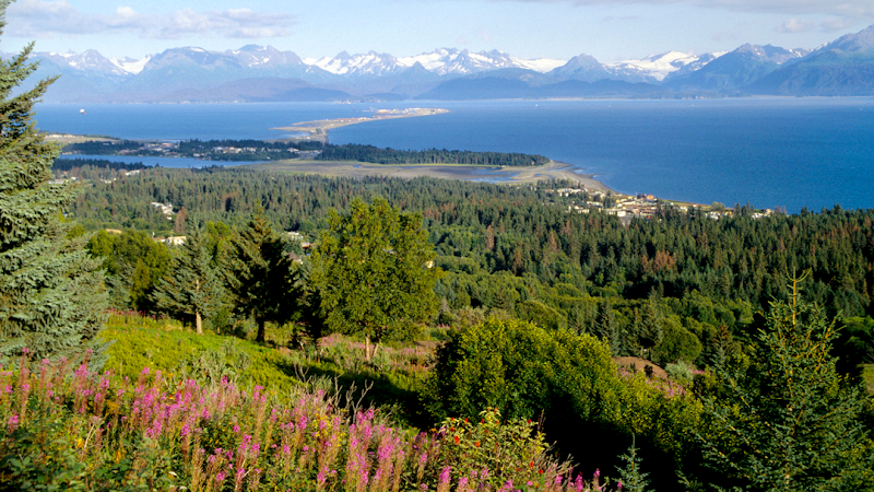 Consumer Direct Care Network Alaska