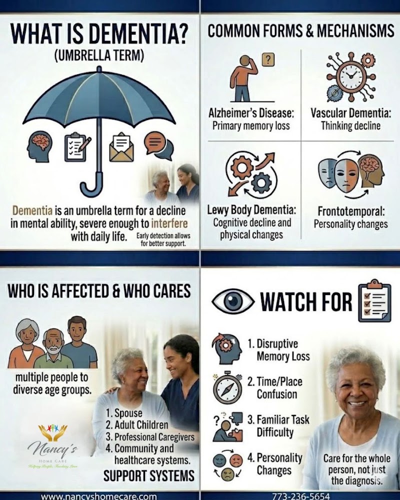Nancy's Home Care Chicago