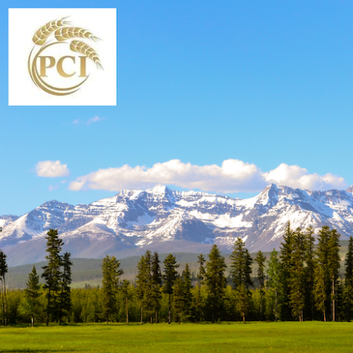 Pondera County Insurance