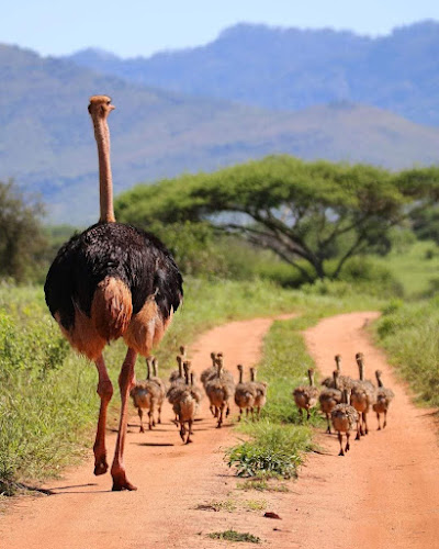 Quality Home Care Services Inc