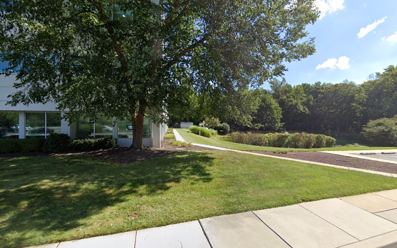 Saint Francis at Home