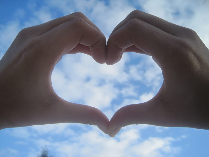 Senior Solutions Group Inc. dba (Caring Hands)