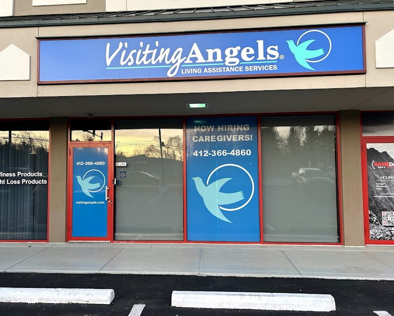 Visiting Angels Senior Home Care Wexford