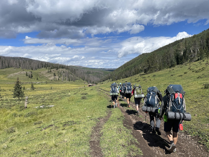 WayForward Adventures