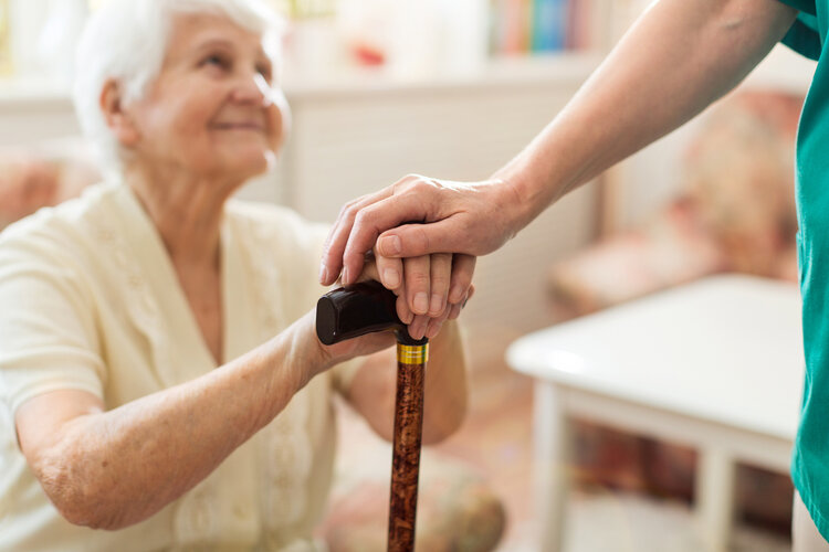 Whole Hearted Senior Home Care